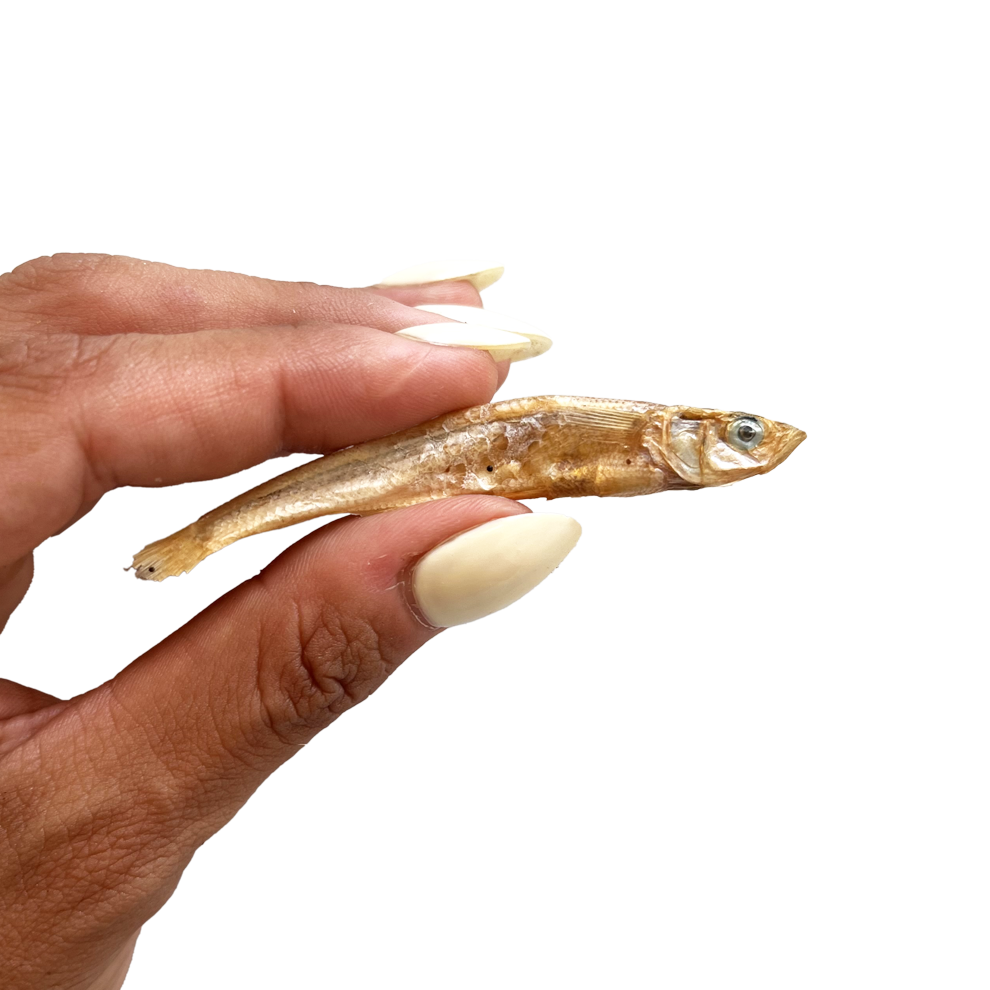 Tiny Pescado